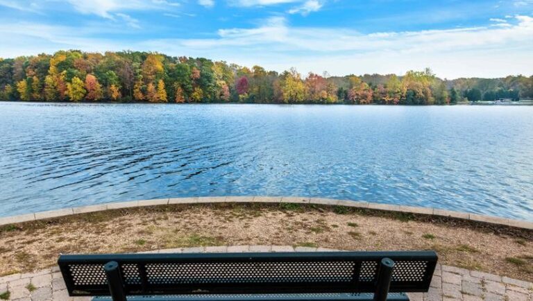 iStock 174791006 768x434